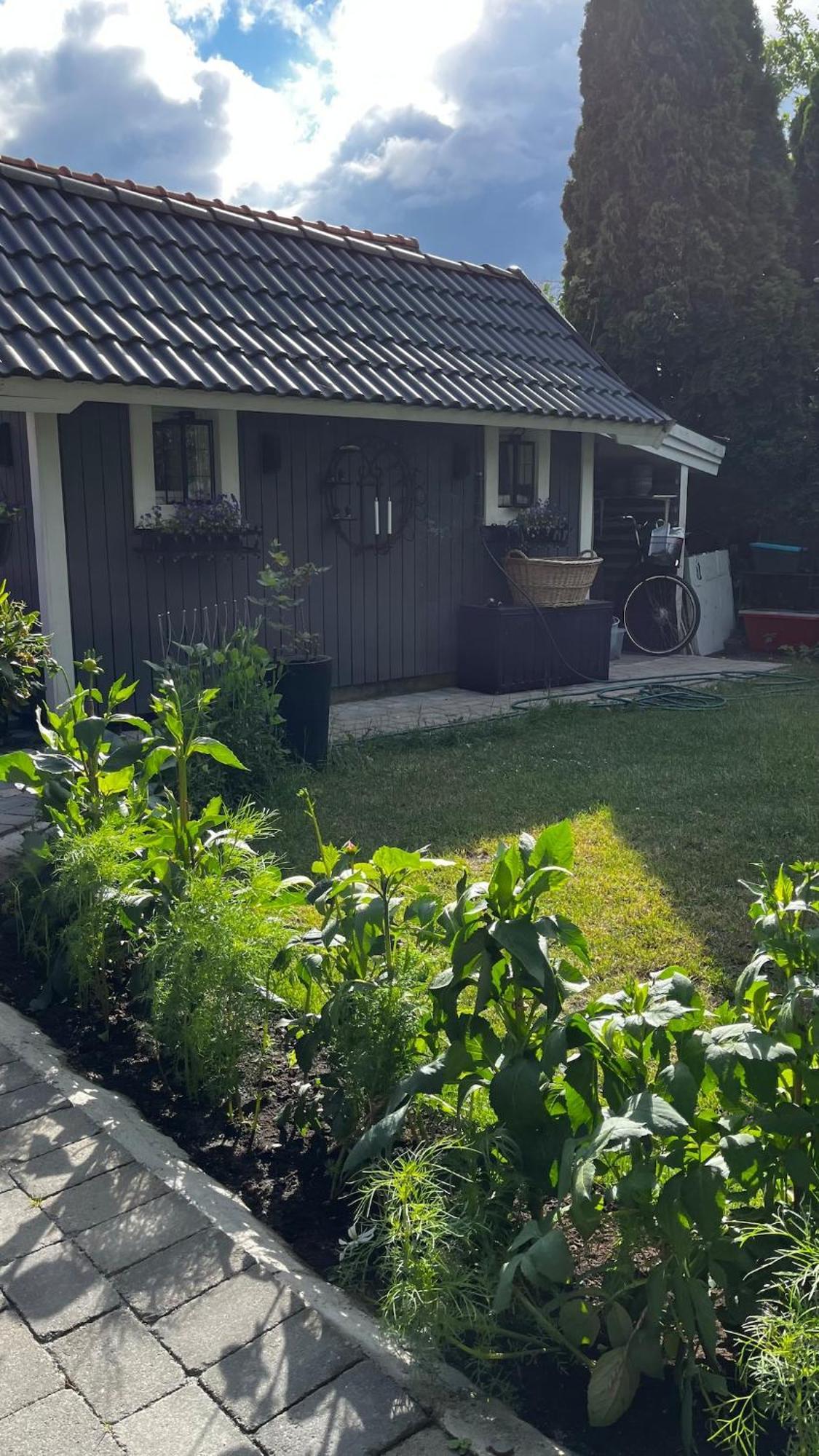 Villa In Historical Uppakra Between Lund And Malmoe Staffanstorp Екстериор снимка